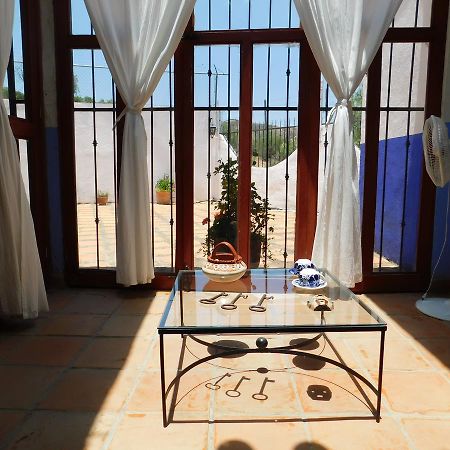 Casa Erizo 39 (Adults Only) Hotel Guanajuato Zewnętrze zdjęcie