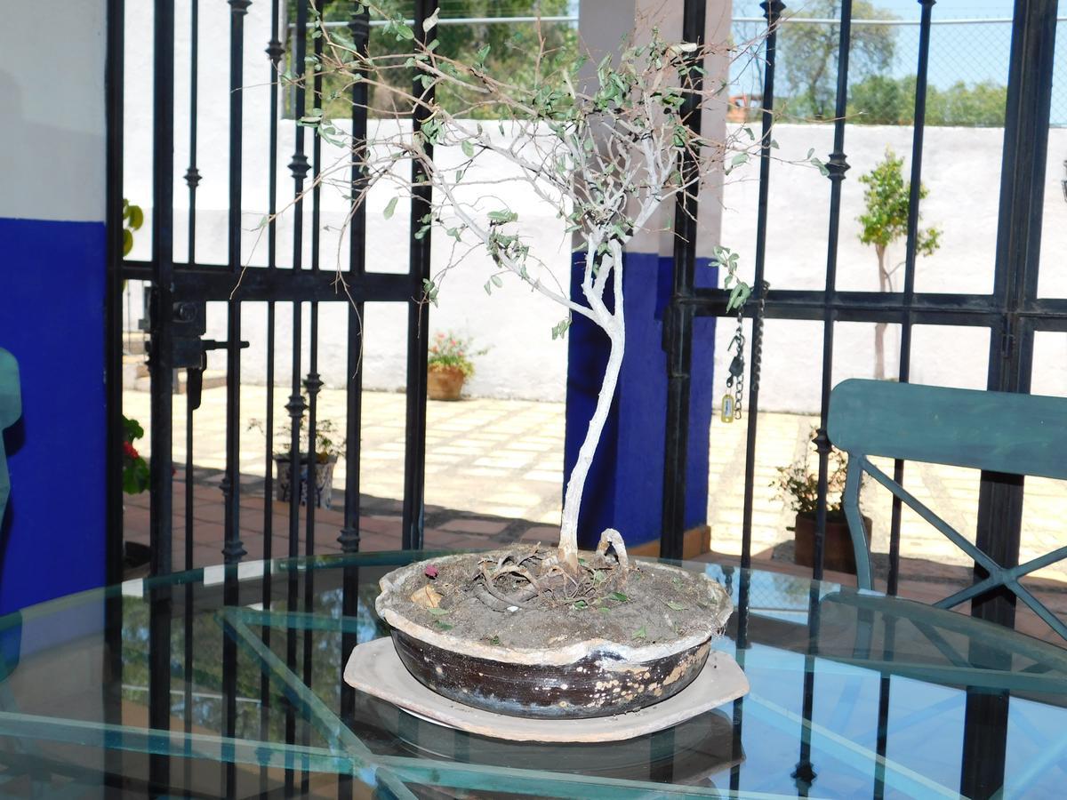 Casa Erizo 39 (Adults Only) Hotel Guanajuato Zewnętrze zdjęcie