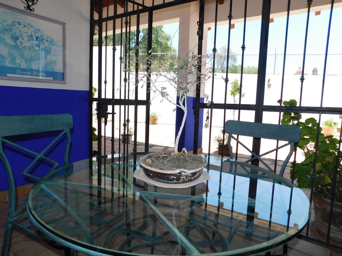 Casa Erizo 39 (Adults Only) Hotel Guanajuato Zewnętrze zdjęcie