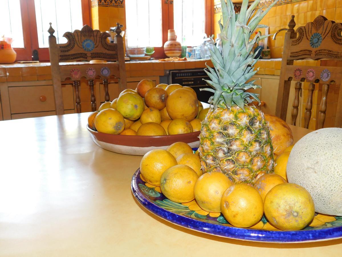 Casa Erizo 39 (Adults Only) Hotel Guanajuato Zewnętrze zdjęcie